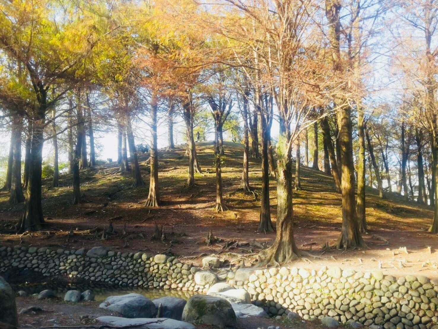 罗东镇秘境13住宿加早餐旅馆 外观 照片