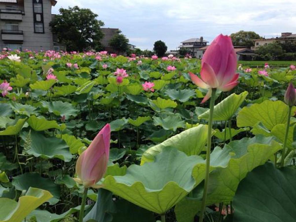 罗东镇秘境13住宿加早餐旅馆 外观 照片